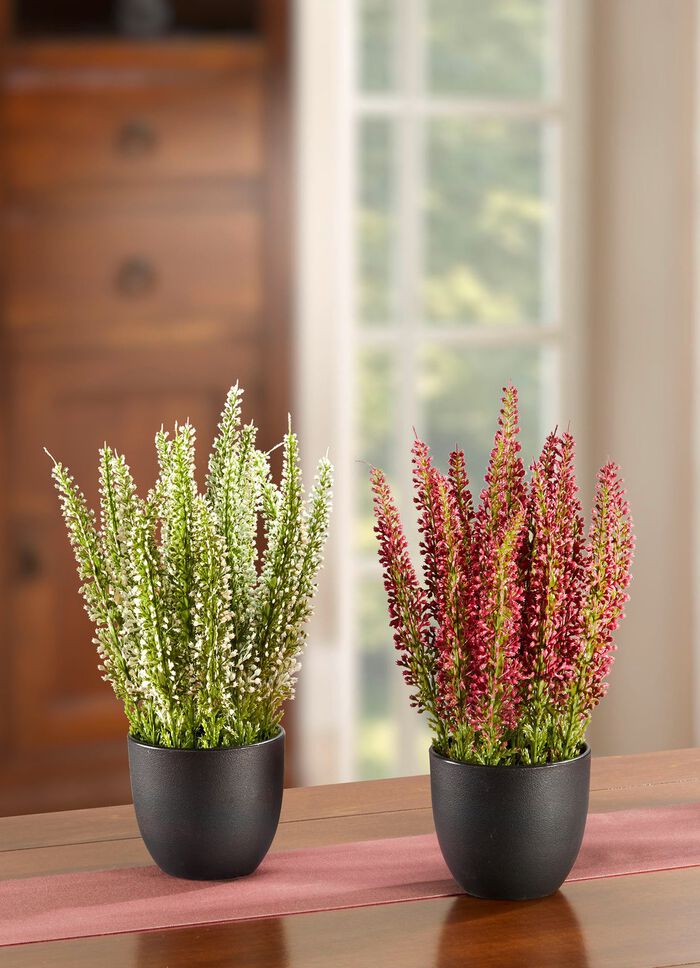 Naturgetreue Besenheide im 2er-Set  