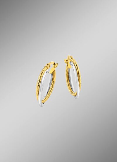 Gl&auml;nzende Creolen in Bicolor, 2-reihig 