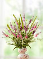 Fr&uuml;hlingsstrauss 