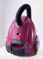 Bodenstaubsauger BEERE