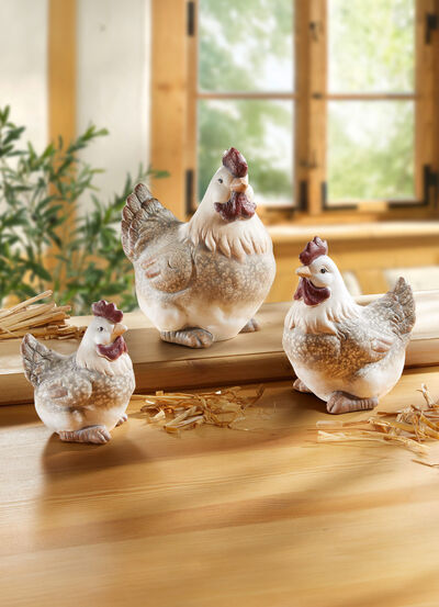 Huhn , , large