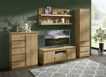 Wohnwand, 4-teilig in modernem Design EICHE