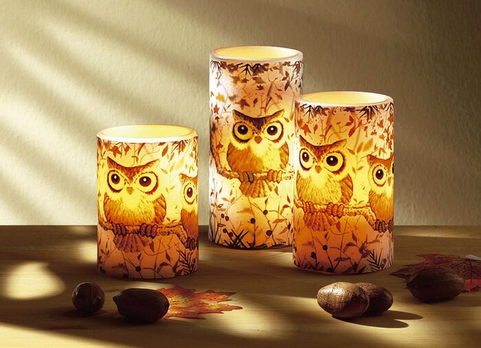LED-Echtwachskerzen «Eulen», 3er-Set 