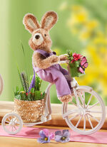 Hase auf Fahrrad, 