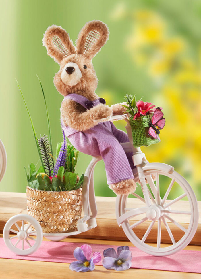Hase auf Fahrrad, 