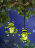 Solarhänger Frosch, 2er-Set 