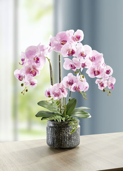 Orchideen-Gesteck im Topf 