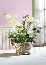 Orchideen-Gesteck im Tontopf 