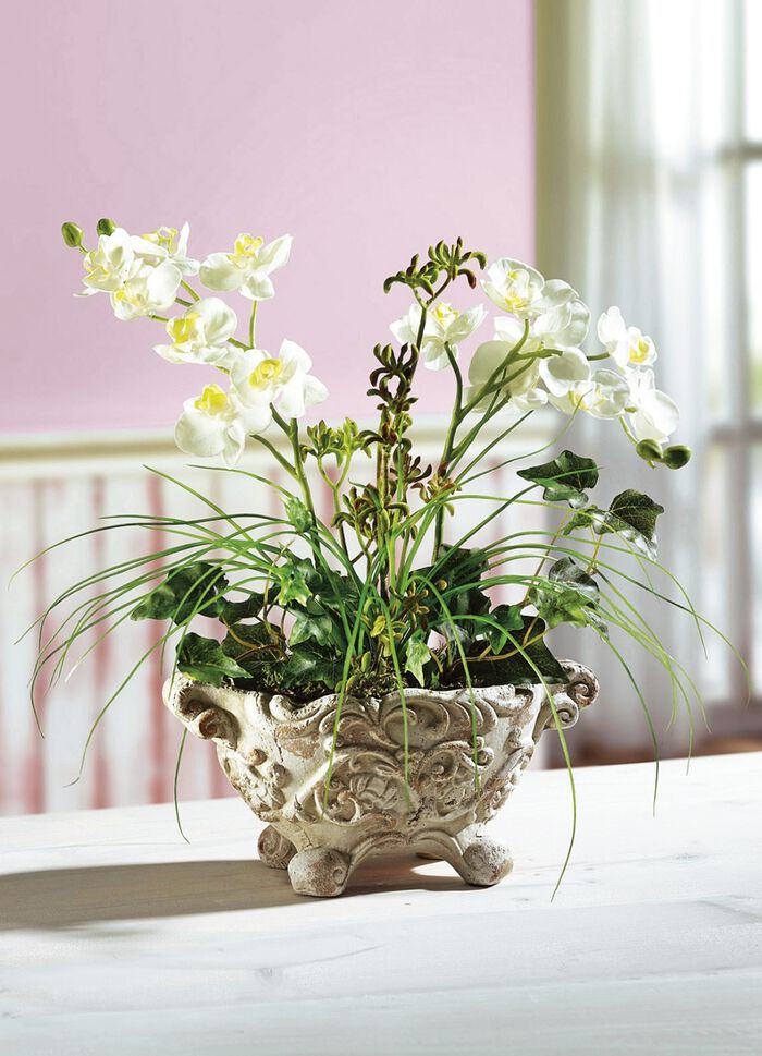 Orchideen-Gesteck im Tontopf 
