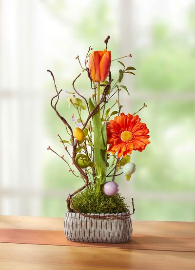 Gerbera/Tulpen-Arrangement 