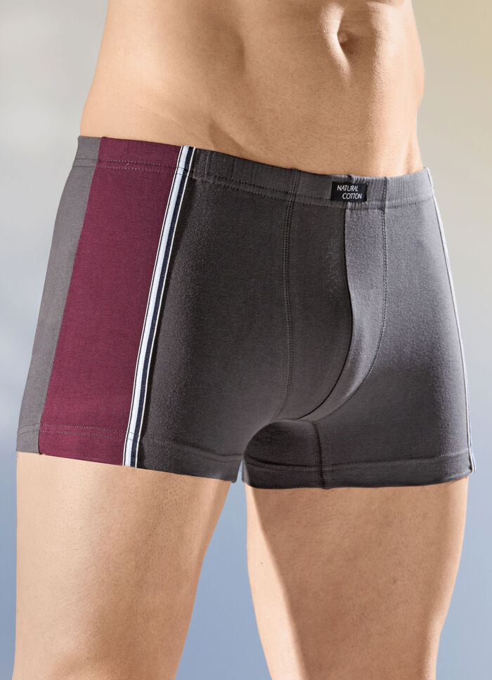Viererpack Pants mit Dehnbund 