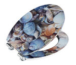 WC-Sitz mit Absenkautomatik 