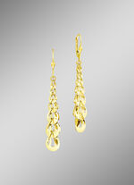 Hochwertige Ohrringe von bleibendem Wert! 