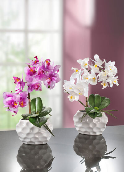 Orchideen-Gesteck in Keramikvase 