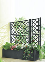 Pflanzkasten mit Spalierwand ANTHRAZIT