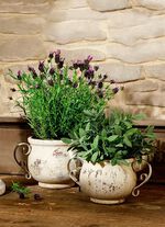 Jardiniere, in 2 Gr&ouml;ssen 