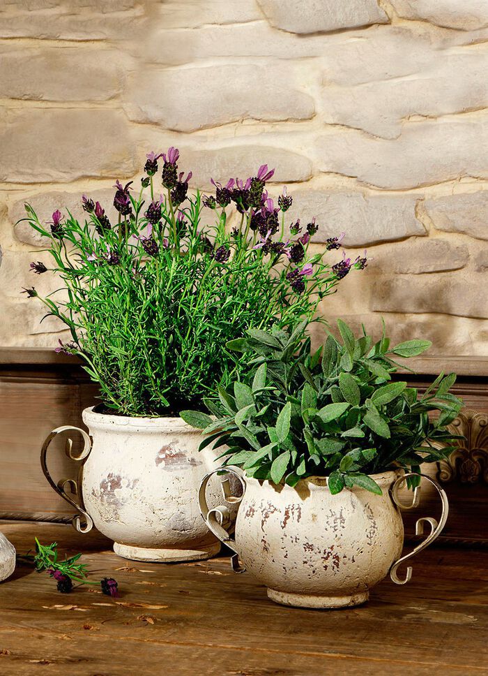 Jardiniere, in 2 Gr&ouml;ssen 