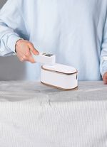 Handliches Dampfb&uuml;geleisen 