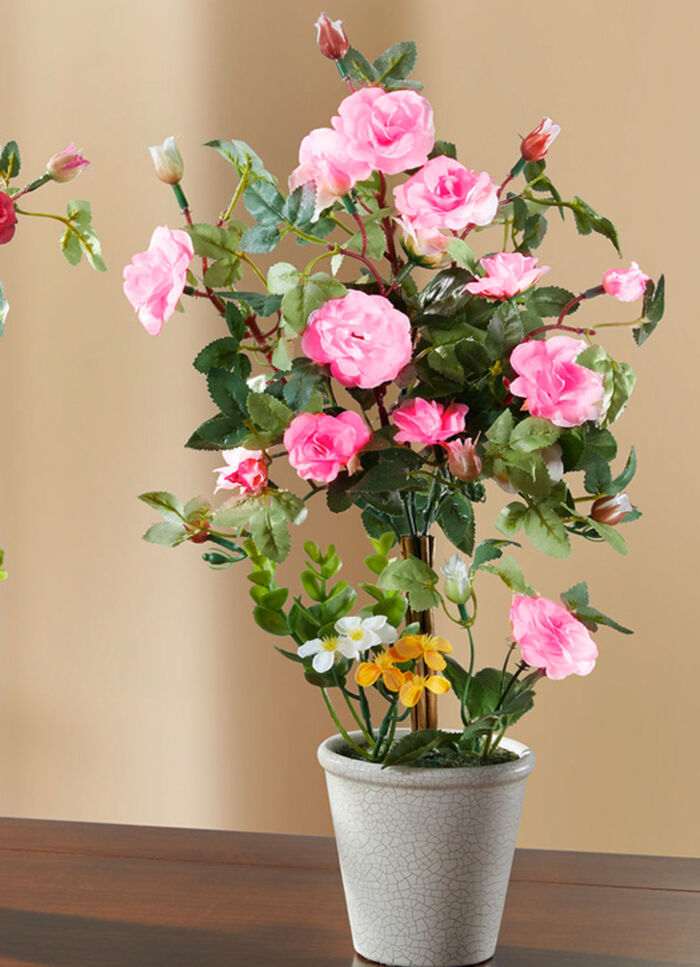 Rosengesteck im Keramiktopf ROSA