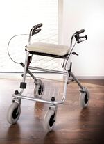 Kissen aus Schurwolle 