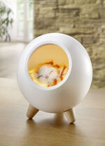 Tischlampe mit integriertem Akku 