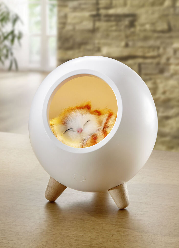 Tischlampe mit integriertem Akku 