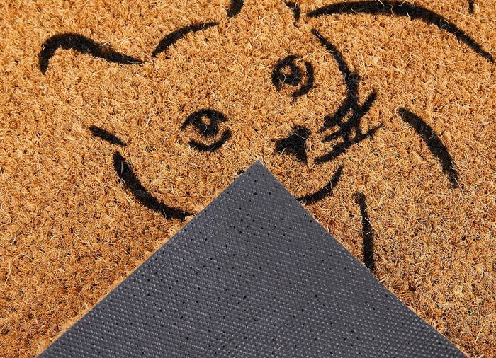 Hochwertige Kokosfussmatte 