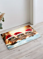 Fussmatte mit rutschhemmender Gummi-Rückseite