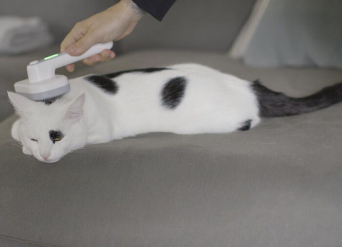 &laquo;PiddiPet IonBrush&raquo; Tierhaarb&uuml;rste i 