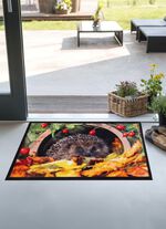 Fussmatte mit Igel-Motiv 