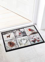 Fussmatte mit rutschemmender R&uuml;ckseite BUNT