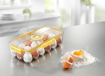 Stabile Eierbox mit Timer 