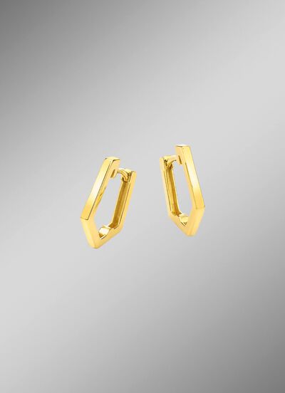 Gl&auml;nzende Klappcreolen 