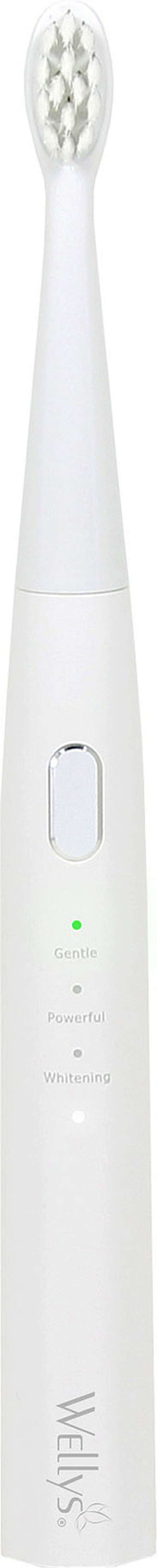 Schallzahnpflege-Set 