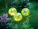 LED-Glaskugeln &laquo;Schmetterling&raquo;, 3er-Set 