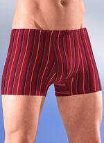 Sechserpack Pants mit Streifendessin 