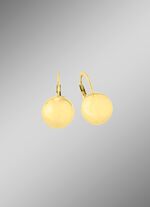 Gl&auml;nzende Ohrringe 