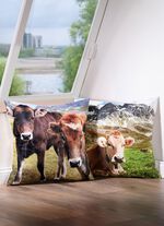 Kissenbezug in Samtoptik 