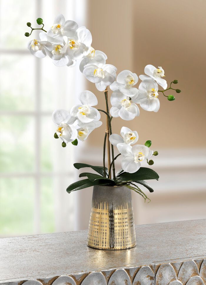 Orchidee im Keramiktopf 