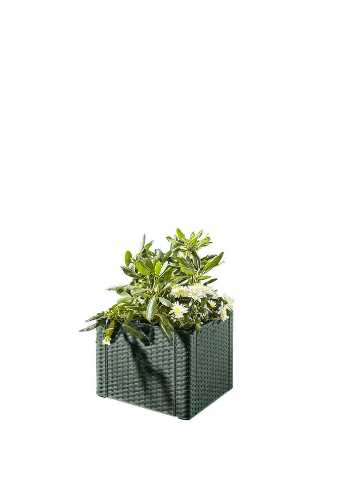 Pflanzkasten in Rattan-Optik GRÜN