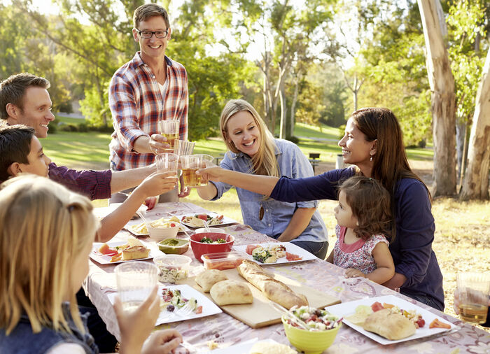 VapoWesp R&auml;ucherbox zum Fernhalten von Wespen 