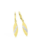 Tolle Ohrringe in Bicolor 