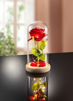 Dekoration Ewige Rose mit LED-Beleuchtung 