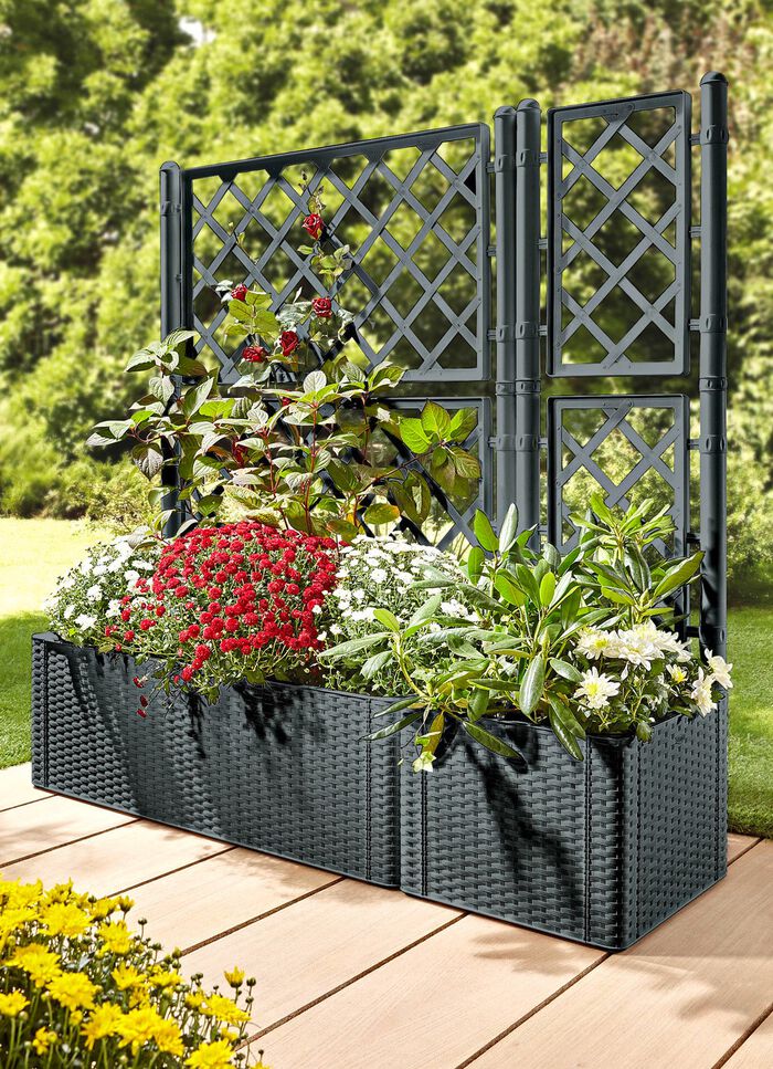 Pflanzkasten in moderner Rattan-Optik ANTHRAZIT