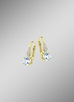 Hinreißende Ohrringe 