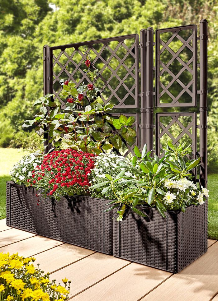 Pflanzkasten in moderner Rattan-Optik 