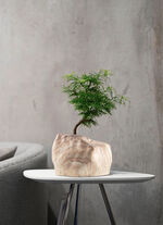 Pflanzenübertopf von Botanyia in edler Naturstein-Optik SAND