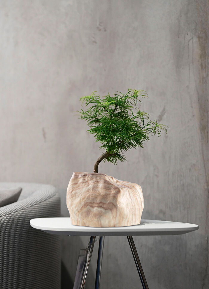 Pflanzenübertopf von Botanyia in edler Naturstein-Optik SAND