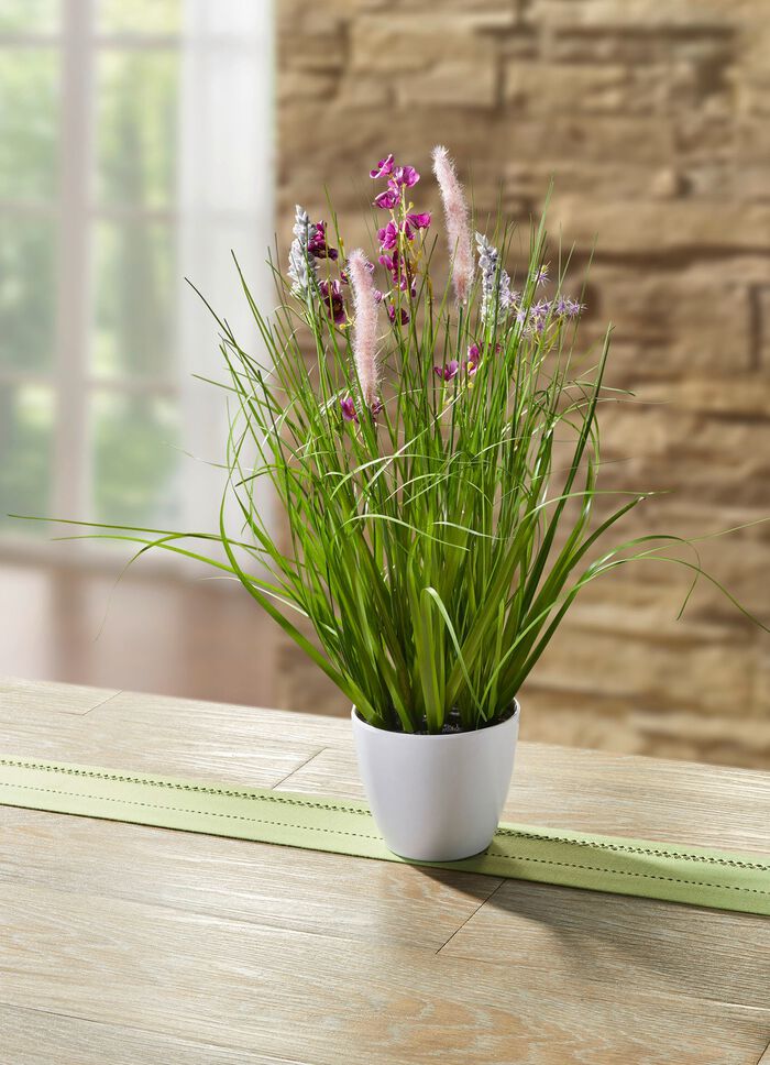 Grasbusch mit Bl&uuml;ten LILA