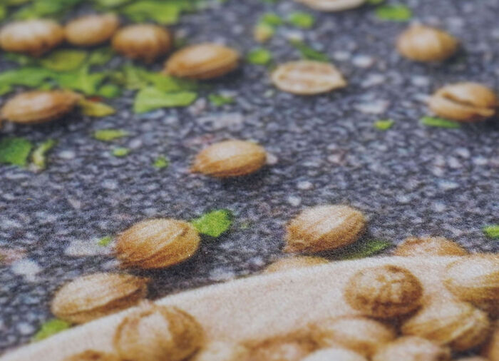 Küchenläufer Gewürze,strapazierfähig BUNT